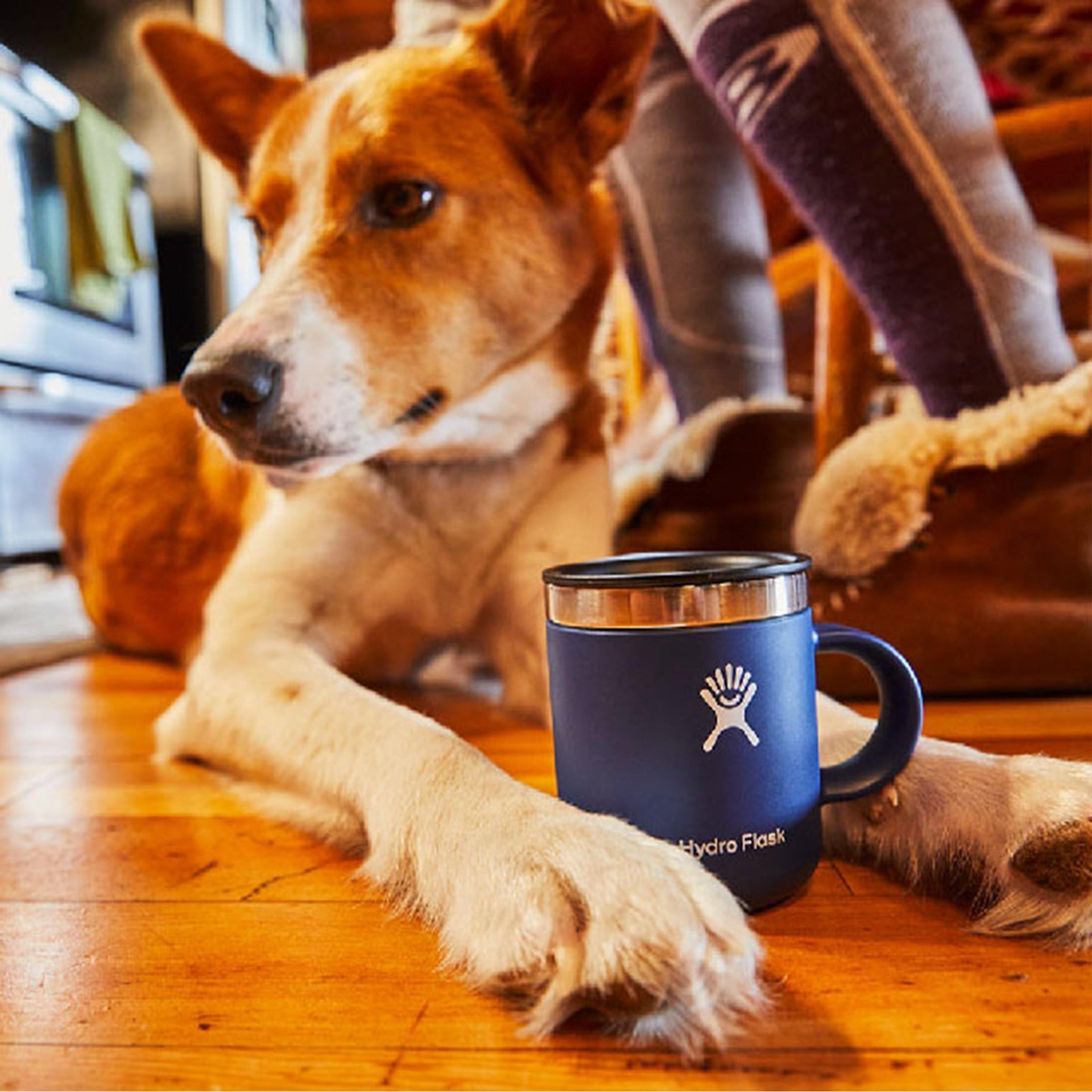 Hydro Flask 12oz Coffee Mug Insulated Drinks Mug + Lid