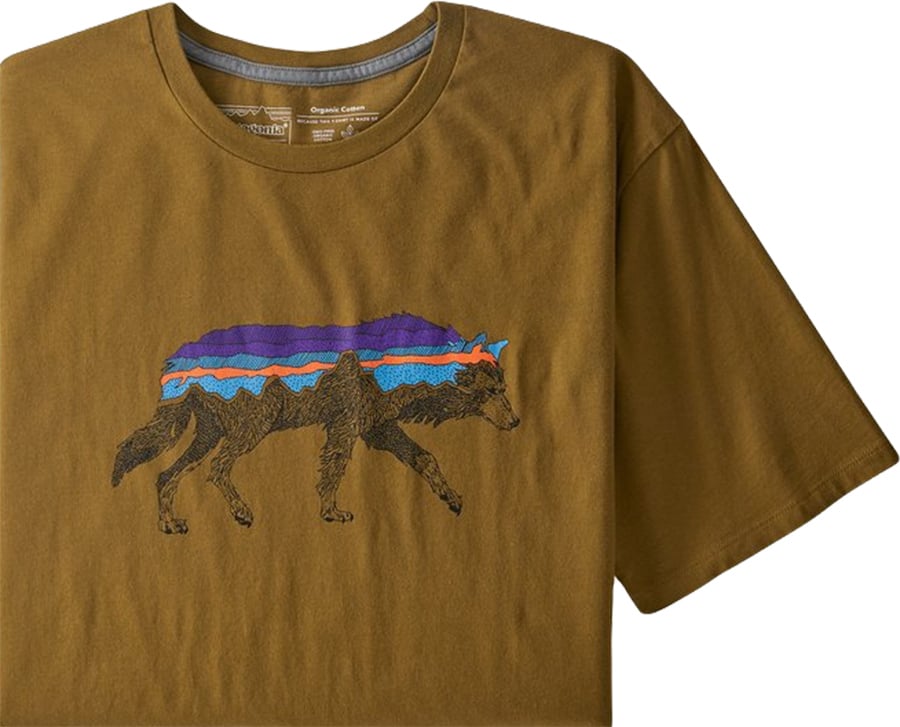Patagonia Back For Good Organic Men's T-Shirt