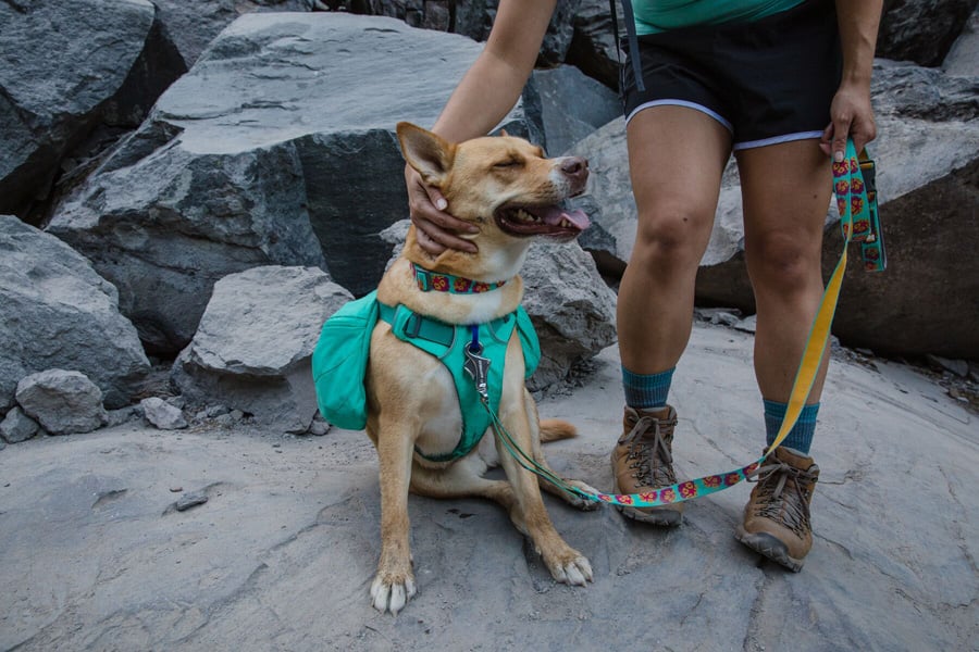 Ruffwear Flat Out Leash Dog Walking Lead