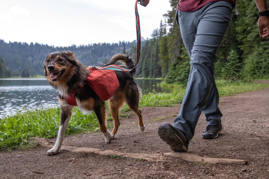 Ruffwear Flat Out Leash Dog Walking Lead