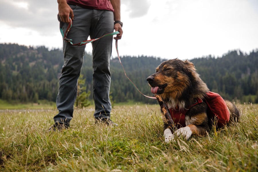 Ruffwear Flat Out Leash Dog Walking Lead