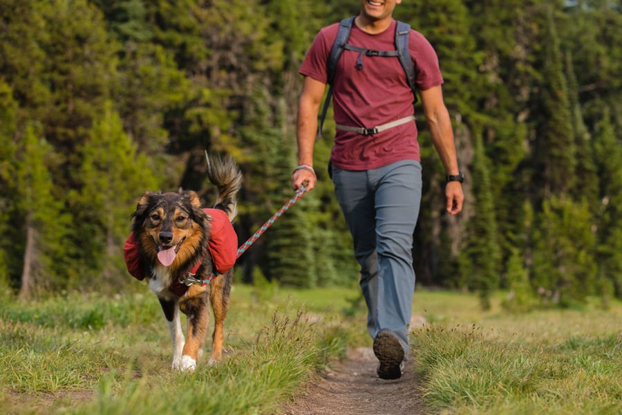 Ruffwear Flat Out Leash Dog Walking Lead