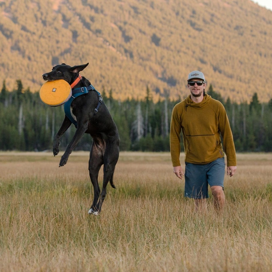 Ruffwear Hover Craft Floating Dog Frisbee