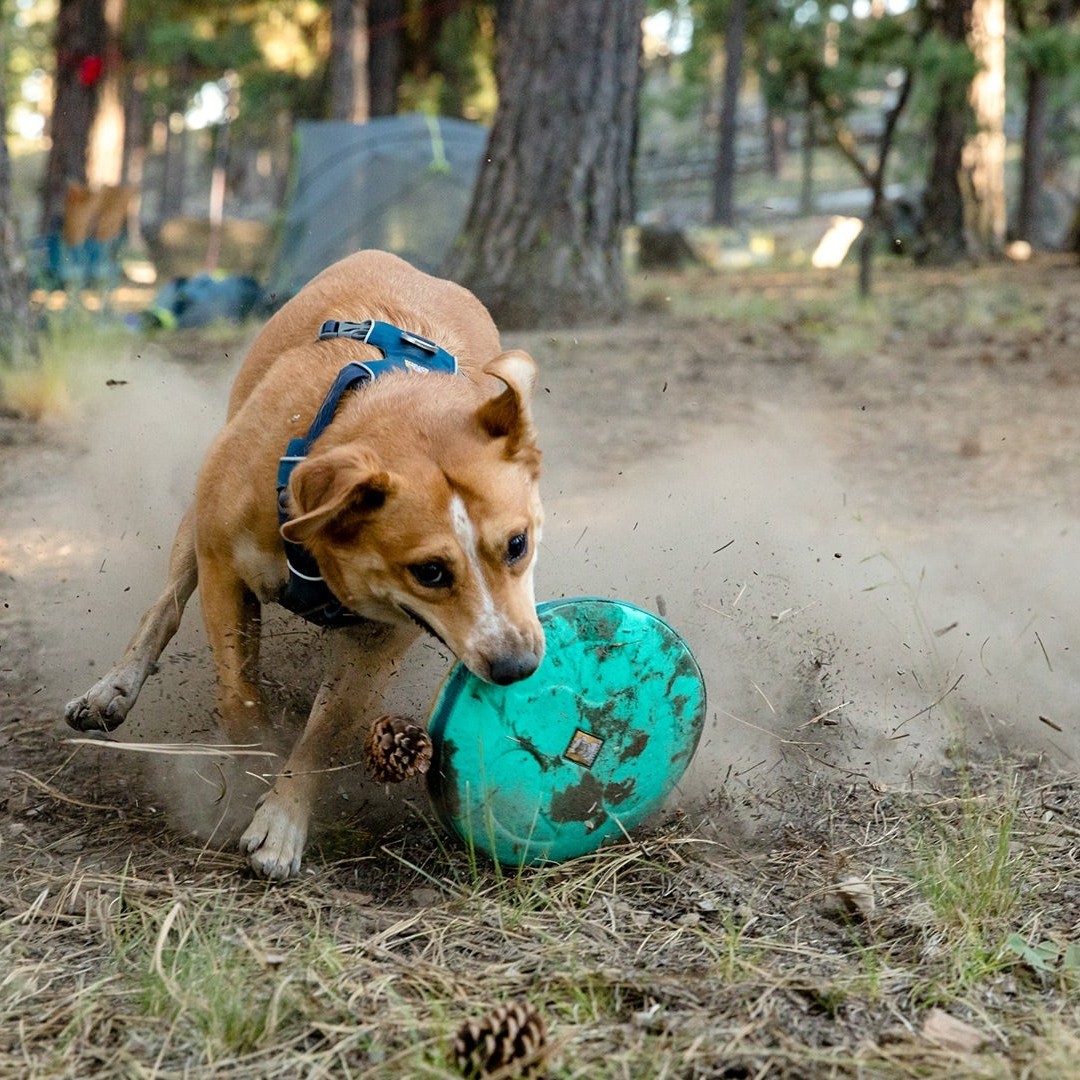 Ruffwear Hover Craft Floating Dog Frisbee