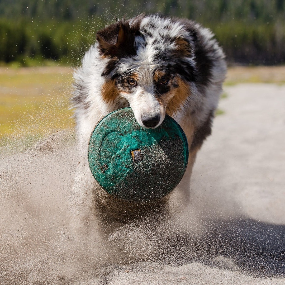 Ruffwear Hover Craft Floating Dog Frisbee