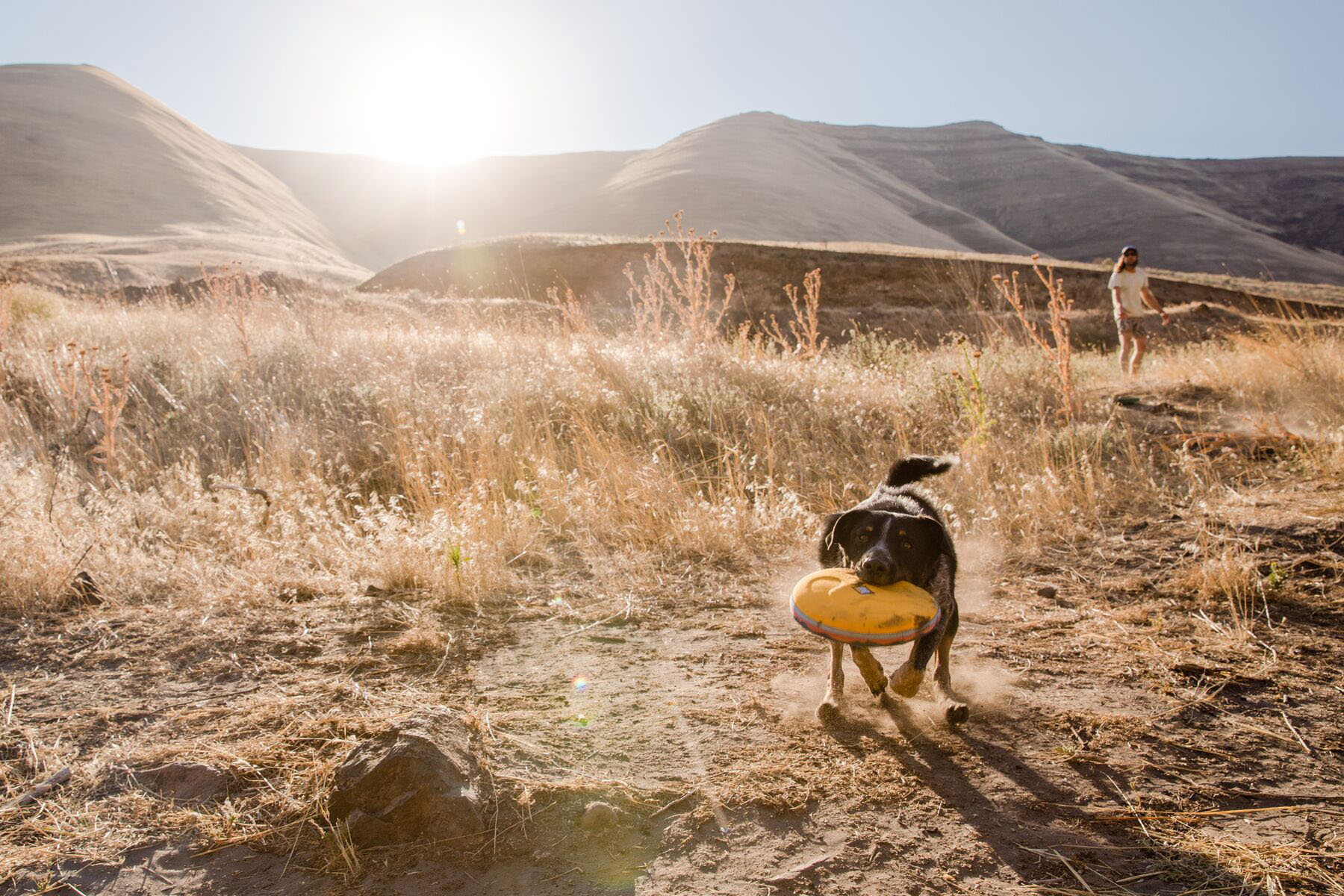 Ruffwear Hover Craft Floating Dog Frisbee