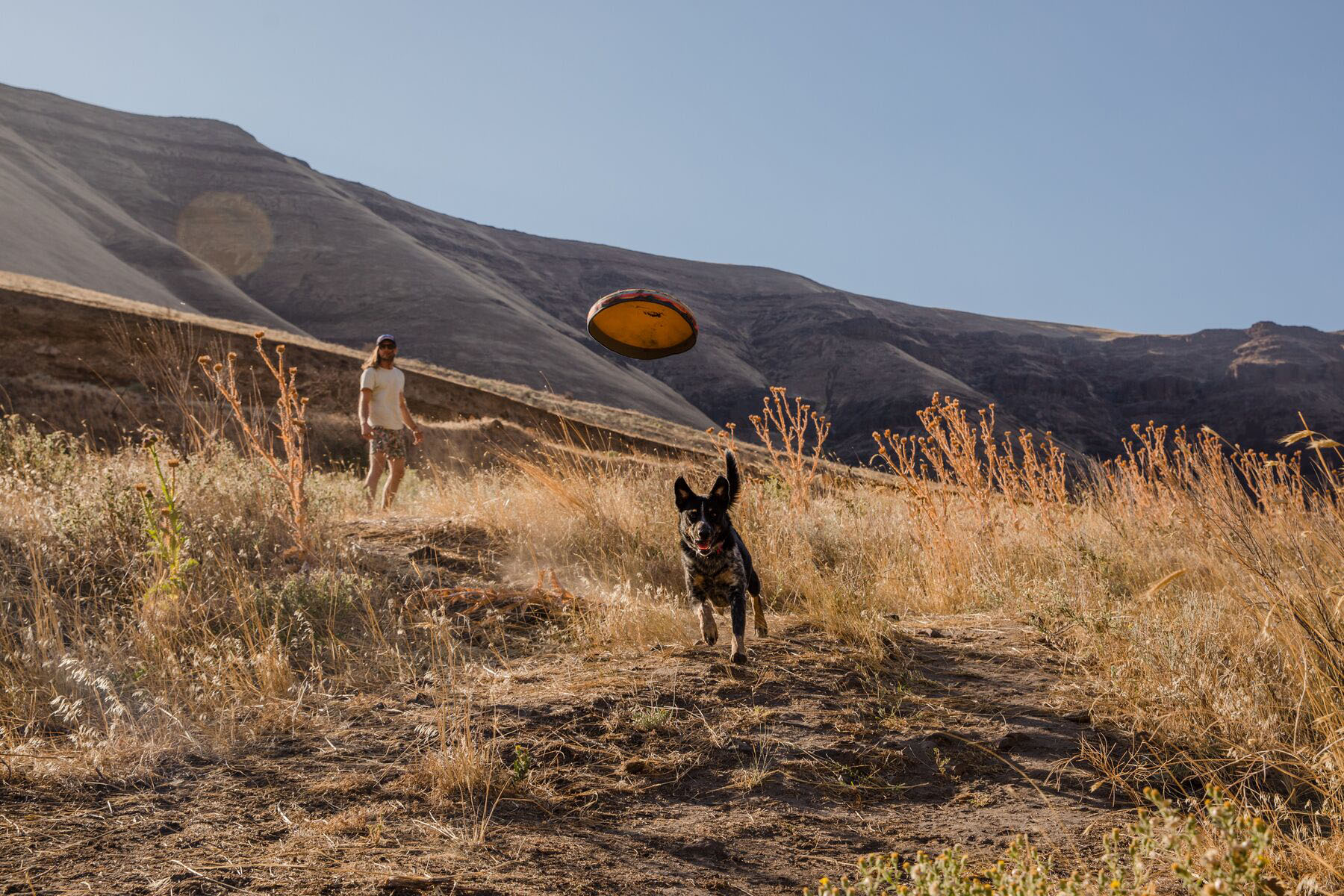 Ruffwear Hover Craft Floating Dog Frisbee
