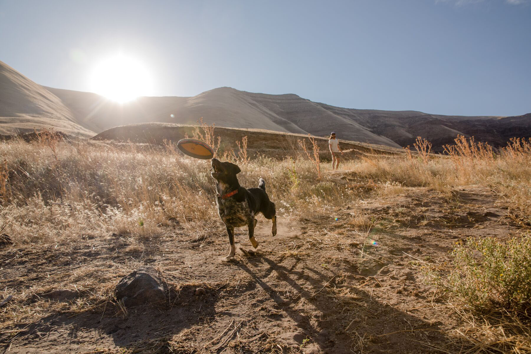 Ruffwear Hover Craft Floating Dog Frisbee