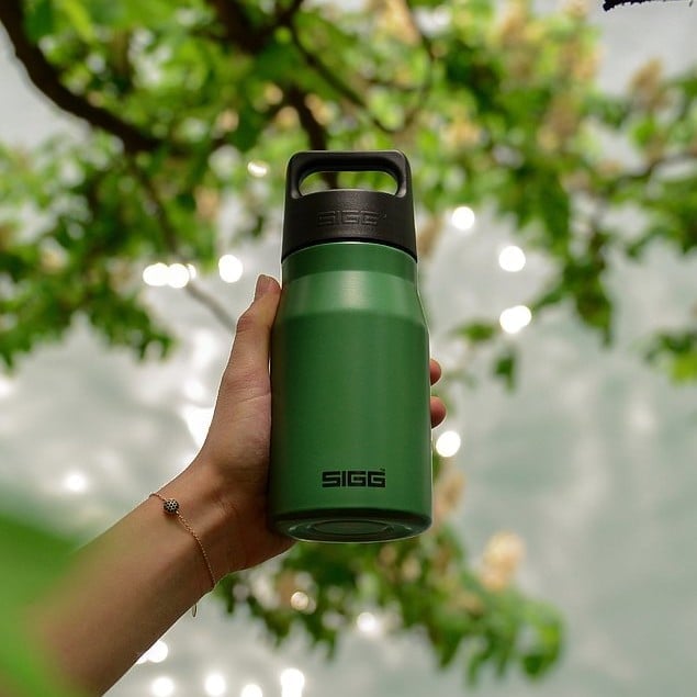 Sigg Explorer Stainless Steel Water Bottle