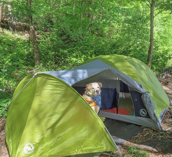 Big Agnes Blacktail 3 Hotel Bikepack Lightweight Bikepacking Tent
