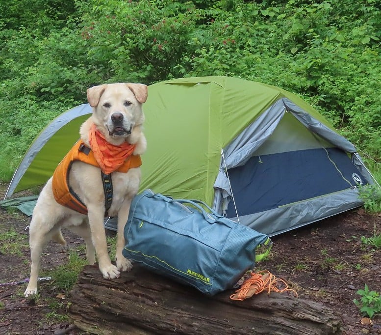 Big Agnes Blacktail 3 Hotel Bikepack Lightweight Bikepacking Tent