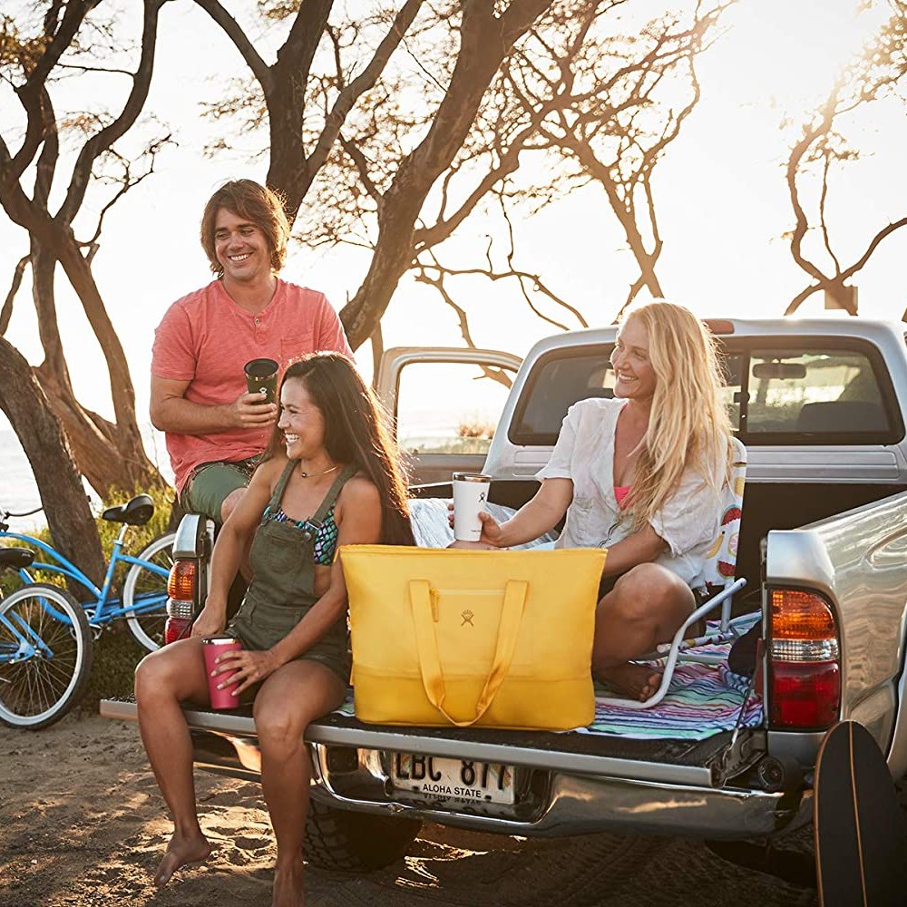 Hydro Flask Insulated Tote Cool Bag