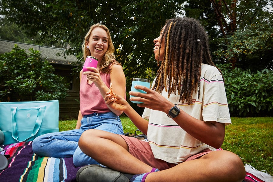 Hydro Flask Insulated Tote Cool Bag