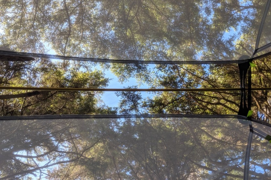 Nemo Hornet 2 Ultralight Backpacking Tent