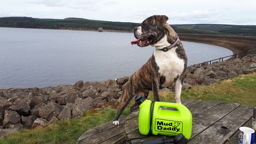 Mud Daddy 5 Litre Dog Washer Multipurpose Pressure Cleaner