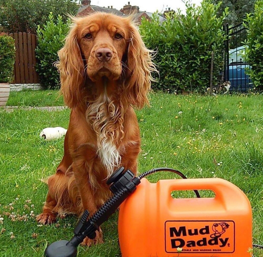 Mud Daddy 5 Litre Dog Washer Multipurpose Pressure Cleaner