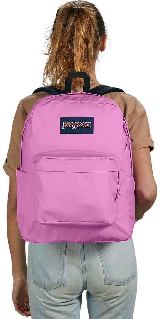 jansport backpack hunnighton Amazon.com: JanSport Huntington Backpack