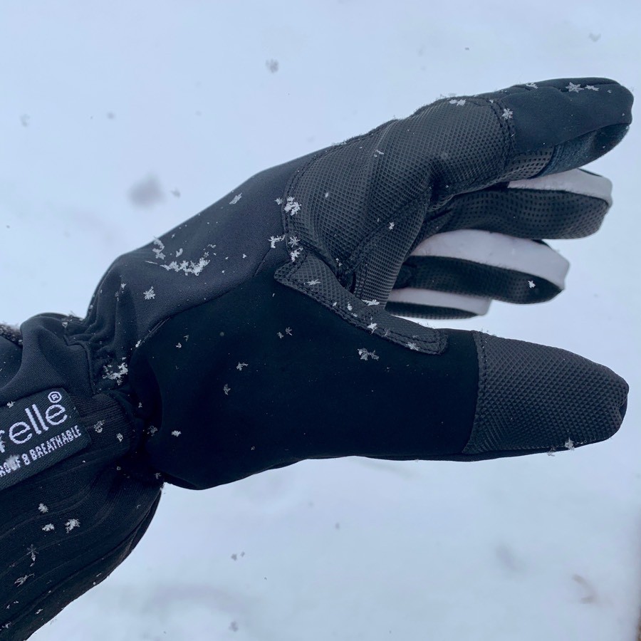 DexShell Ultra Weather Winter Gloves