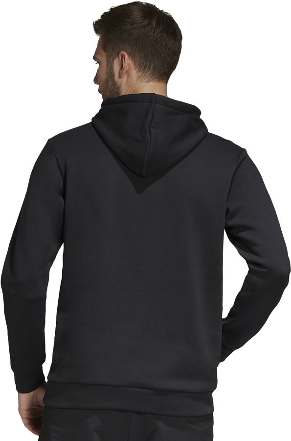 Adidas Terrex Graphic Logo Men's Pullover Hoodie