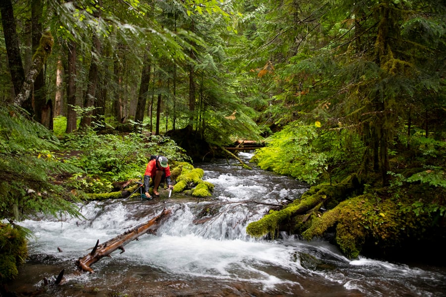 Lifestraw Go Tritan Renew Travel Water Filter Bottle