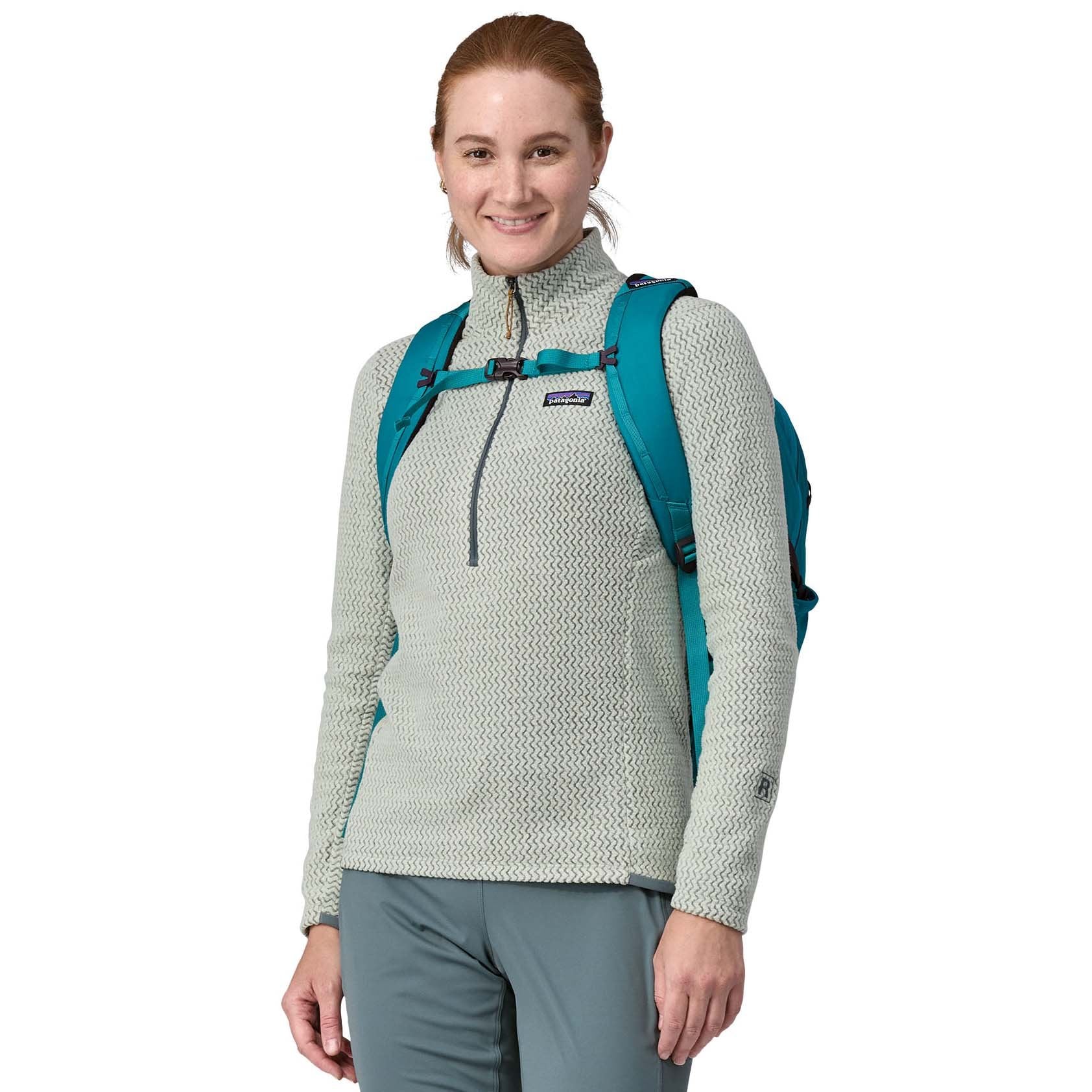 Patagonia Refugio Day Pack 26 Everyday Backpack