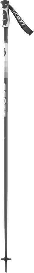 Scott Sun Valley Ski Poles