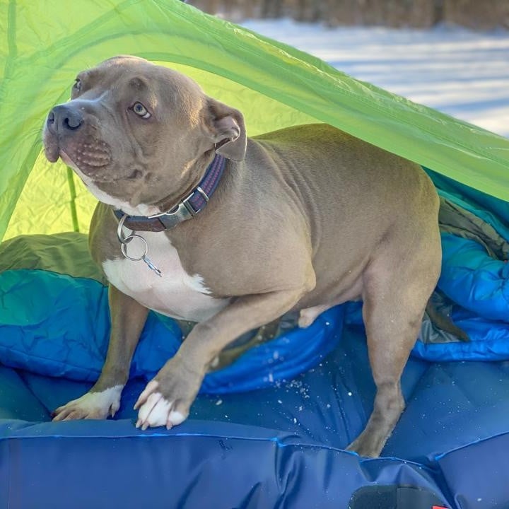Big Agnes Goosenest Inflatable Cot Bed