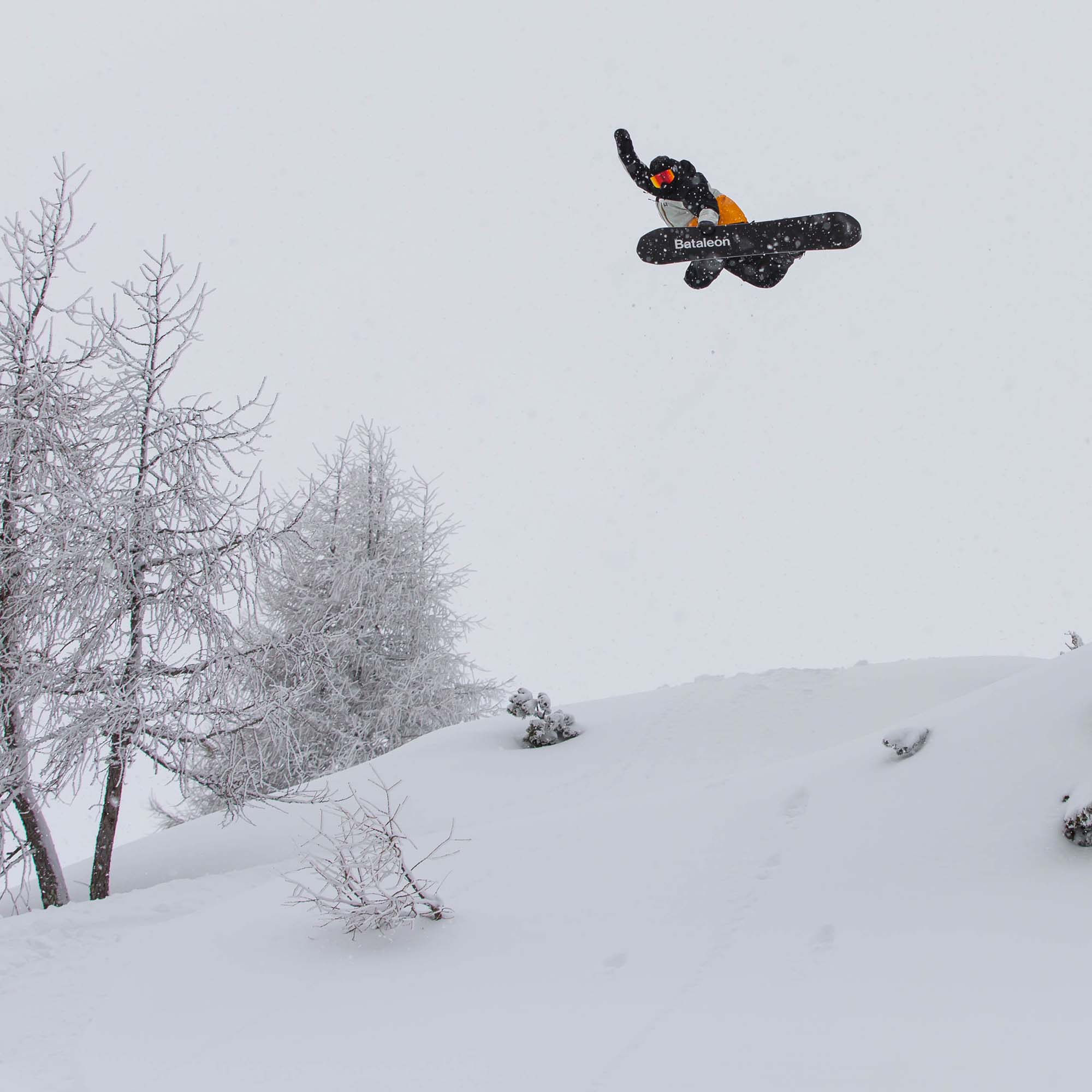 Bataleon Thunder Storm All Mountain/Freeride Snowboard