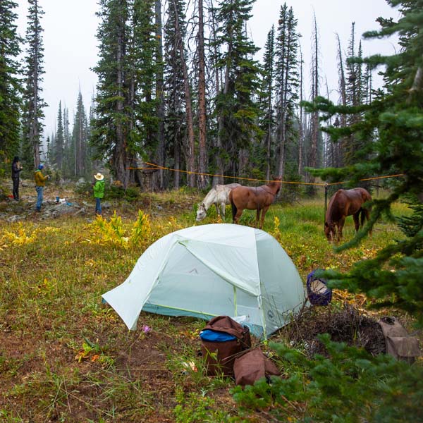 Big Agnes Tiger Wall 2 Platinum Crazylight Backpacking Tent