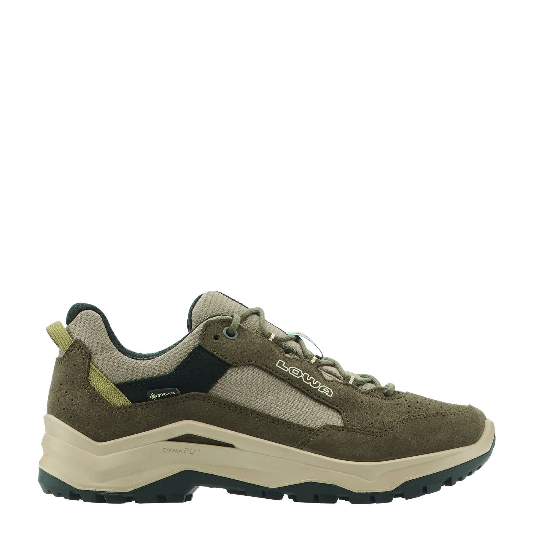 LOWA Ventierra GTX Lo Men's Walking Shoe