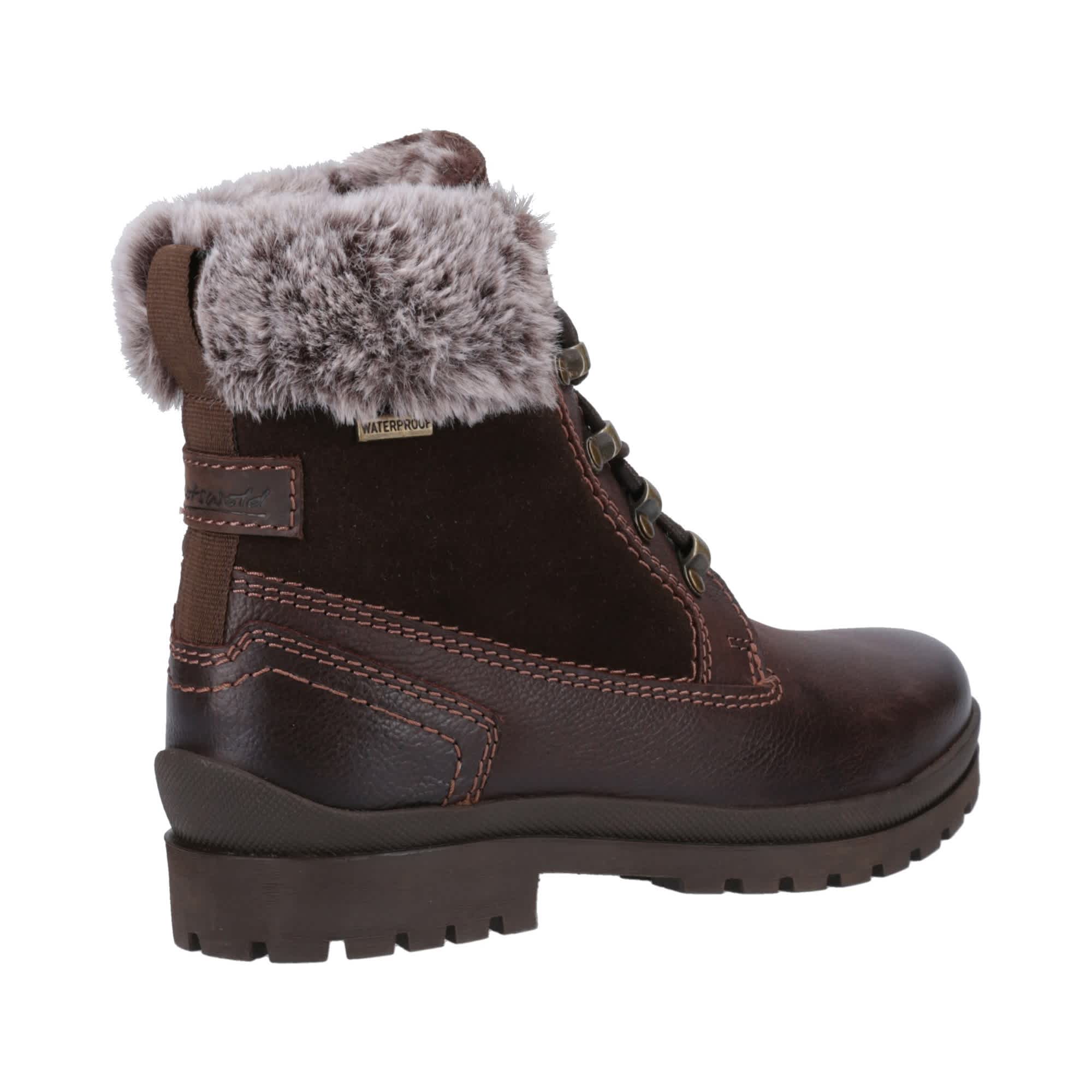 Cotswold Women's Evenlode Ankle Boots