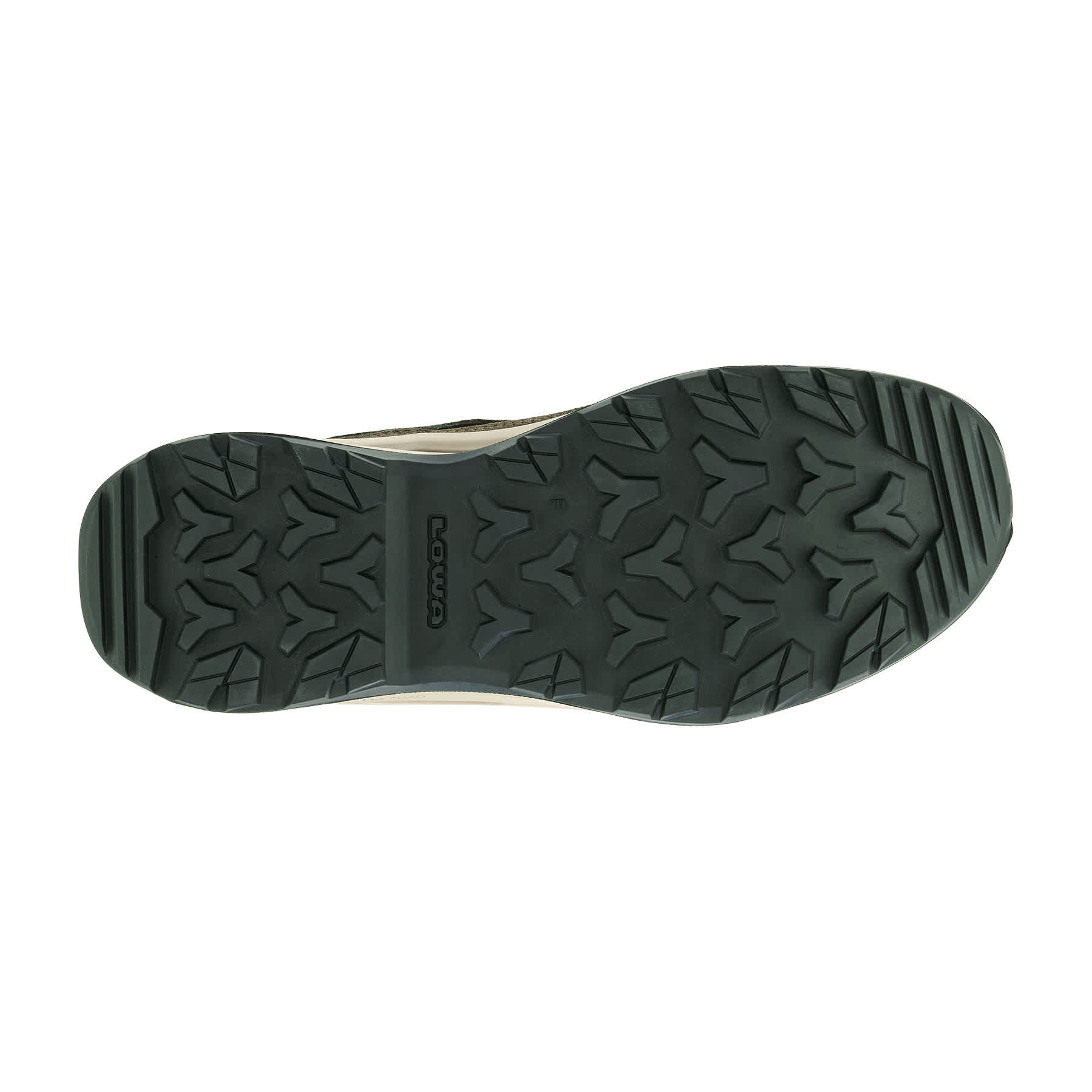 LOWA Ventierra GTX Lo Men's Walking Shoe